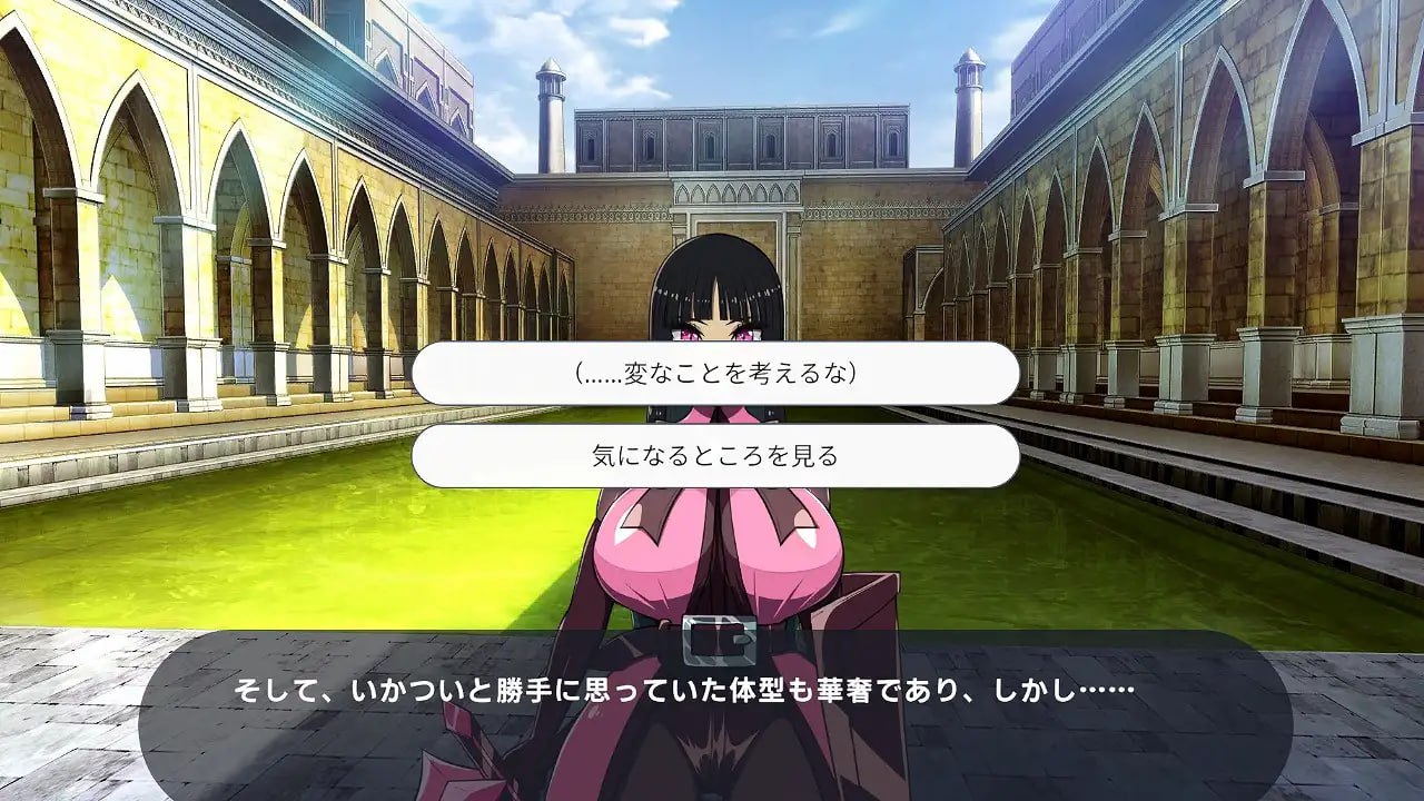 【3D/机翻/动态】身经百战的老兵你 VS 初出茅庐的新人女兵v1.0.0【PC/1.7G】